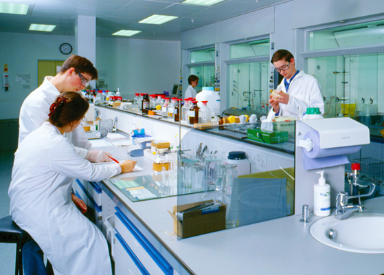 Pharmacists working in a lab